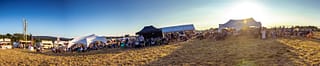 DVF Dorset Volksfest 2025 - colinhillphotography.uk