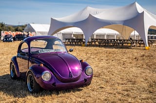 DVF Dorset Volksfest 2025 - colinhillphotography.uk