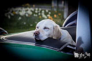 Classic Cars at Rivos Hub Sandford - ColinHillPhotography.uk