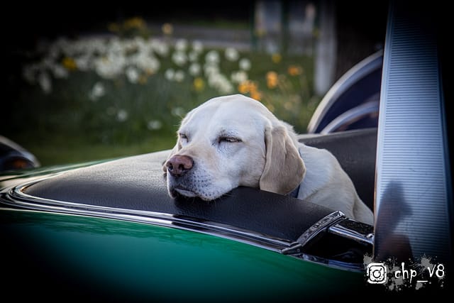 Classic Cars at Rivos Hub Sandford - ColinHillPhotography.uk