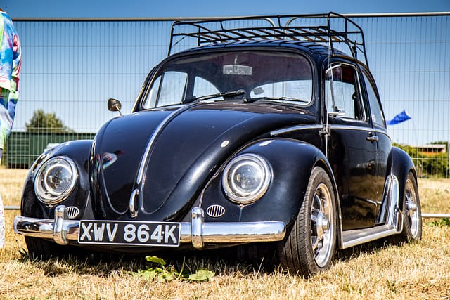 DVF Dorset Volksfest 2025 - colinhillphotography.uk